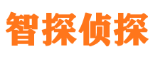 方山市调查取证